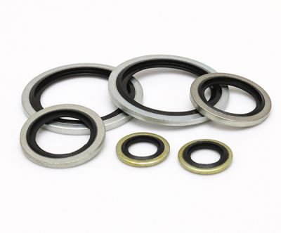 進(jìn)口耐高壓高溫腐蝕德國工制螺紋ISO R261 BS3643組合墊圈